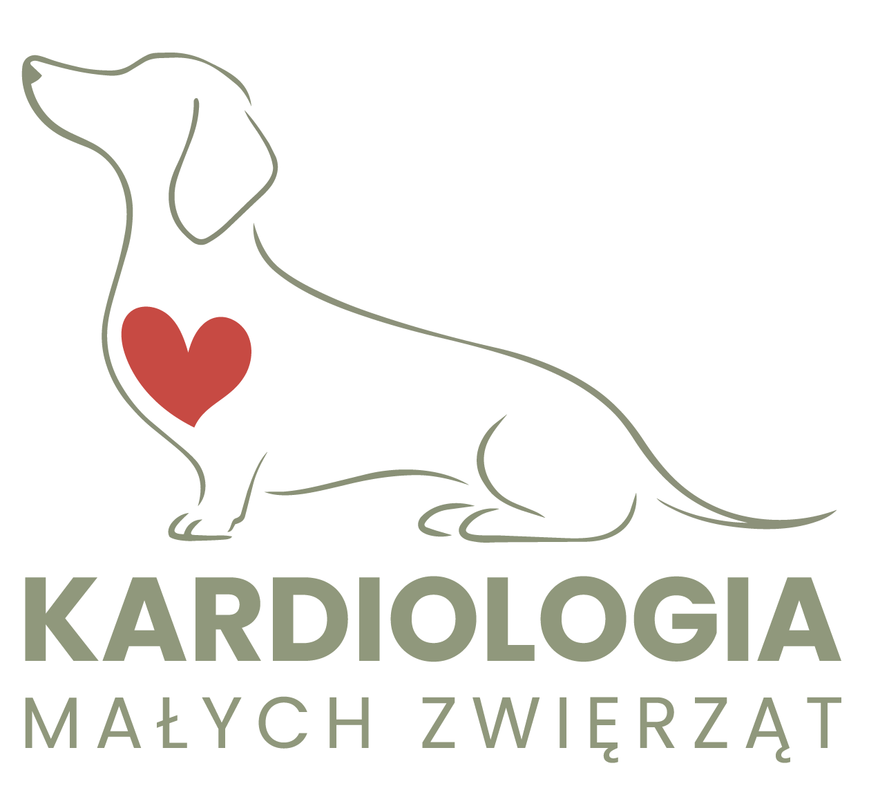 Gabinet Weterynaryjny Kardiologii Małych Zwierząt